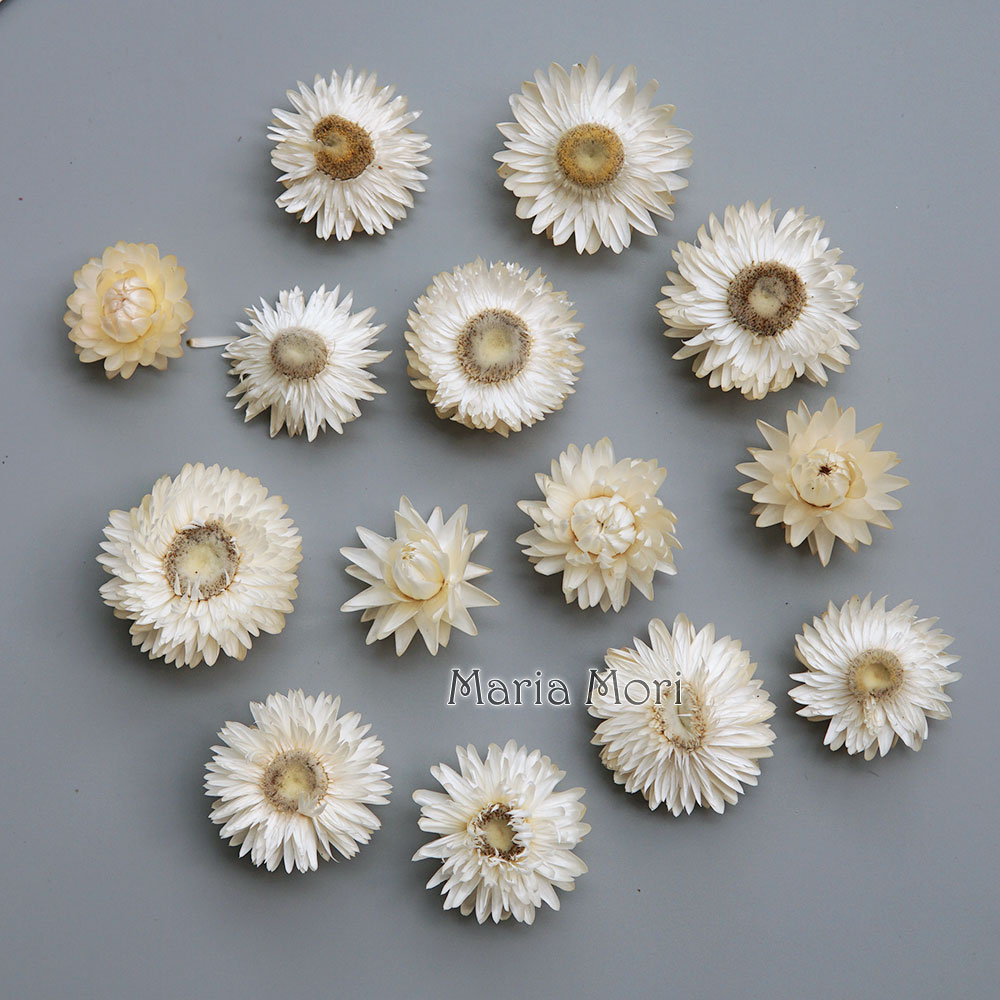 Home Textiles Products - Karangan bunga krisan warna-warni kering alami