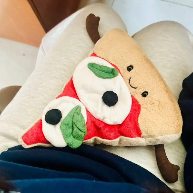 Ornamen pizza hamburger hadiah - Home Textiles Today ulasan dan harga